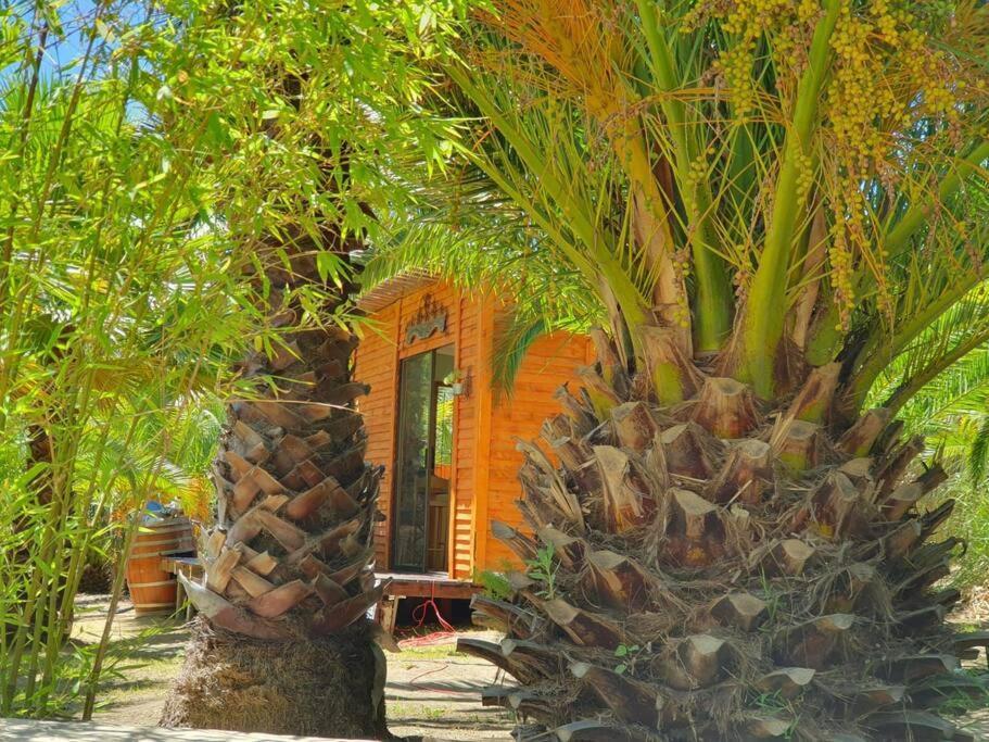 The Farmhouse B&B Стеленбош Екстериор снимка